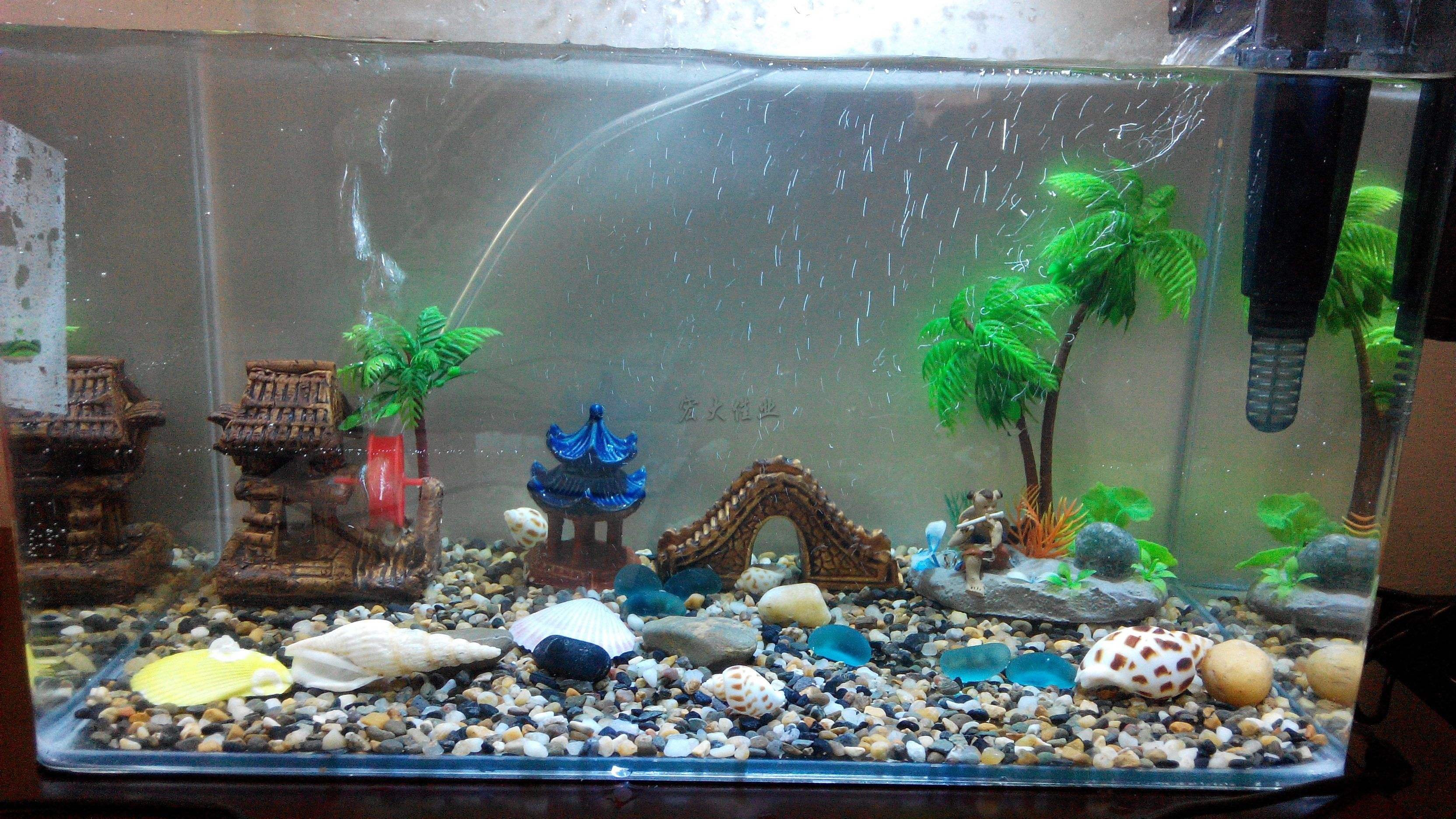 魚缸擺放風水講究